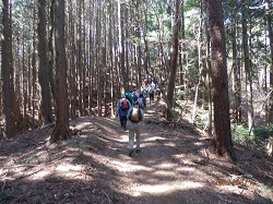 ポンポン山・西山古道.jpg