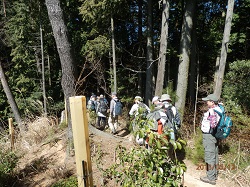 ポンポン山・釈迦岳への道.jpg