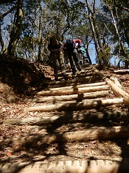 ポンポン山・頂上への道3.jpg