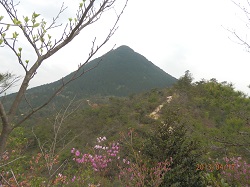 北尾根からの三上山.jpg