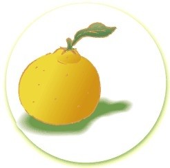 http://www.kyoto-sky.net/blog/%E6%9F%9A%E5%AD%90.jpg