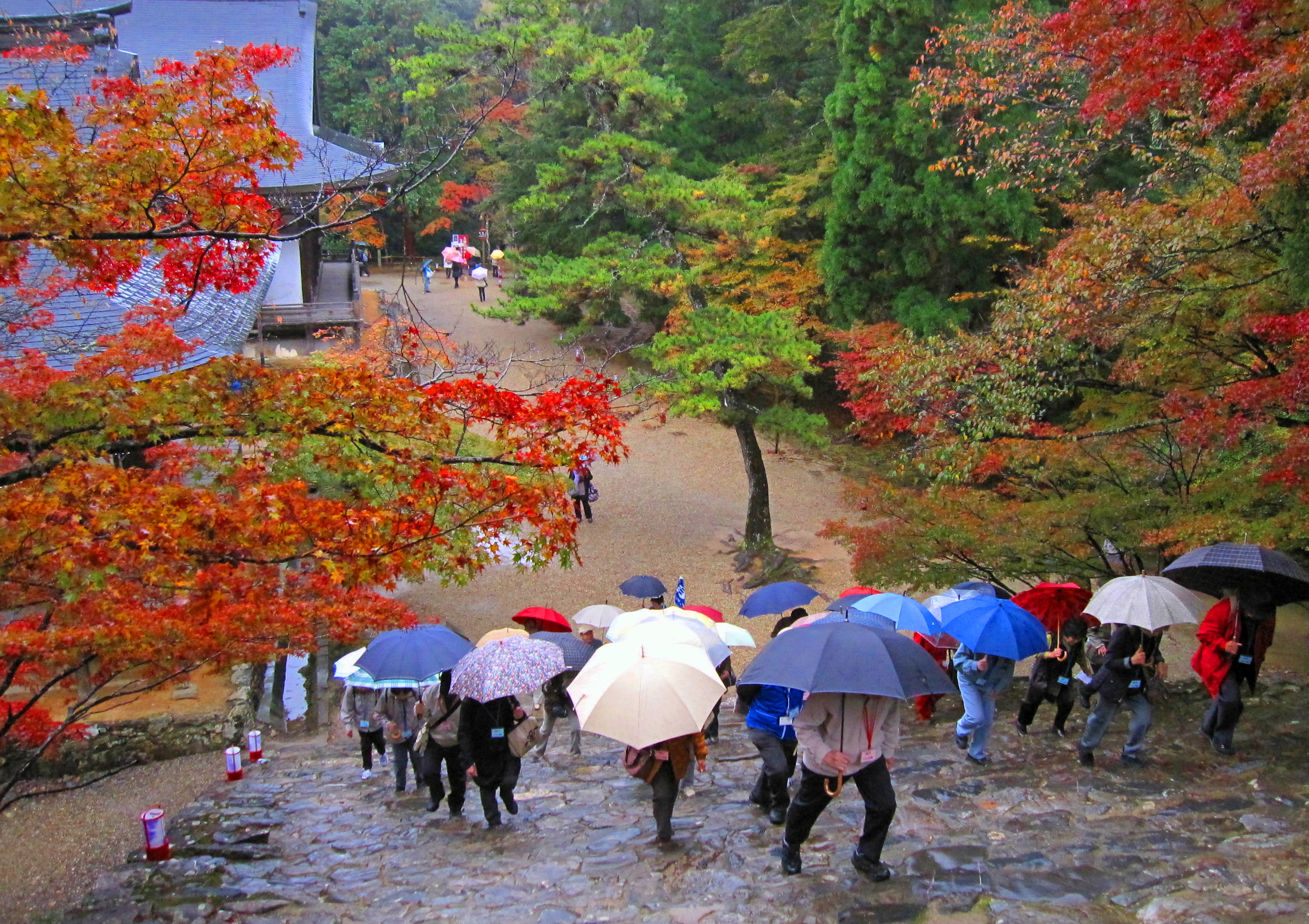 ２０11.1111ｓｋｙイベント.紅葉高雄神護寺 006.jpg