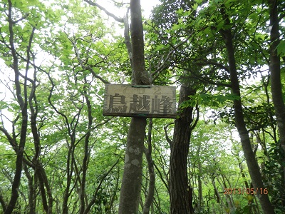 P5160084鳥越峰山頂.jpg