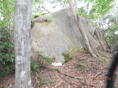 P5160096鉄砲岩.jpg