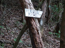 P6050017行者の森へ標識.jpg
