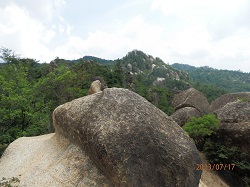 P7170038北峰縦走路4.jpg