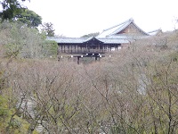 Ptoufukuji50.jpg