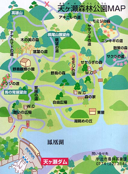 天ケ瀬森林公園MAP.jpg