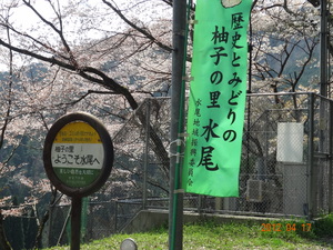 DSC00680.JPG