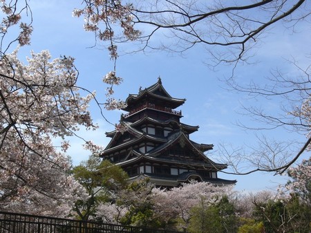 桜景色の伏見桃山城.jpg