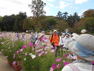 植物園20231006 (1).jpg