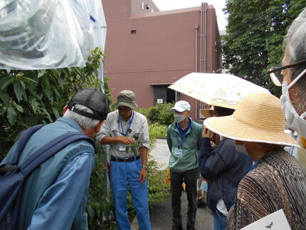 DSCN1529.JPG