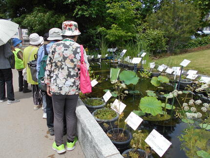 DSCN1537.JPG