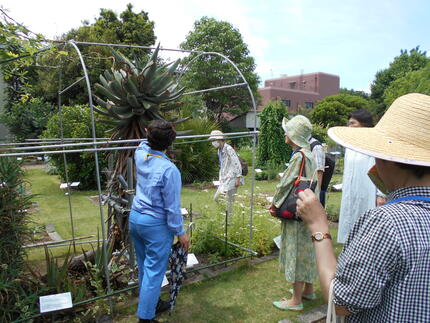 DSCN1560.JPG