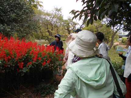 DSCN1606.JPG