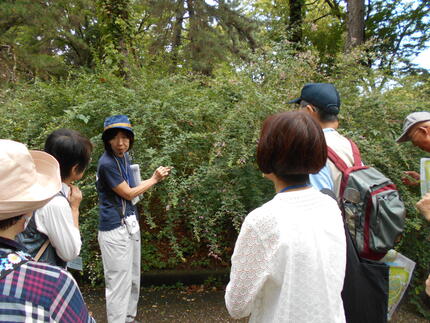 DSCN1615.JPG