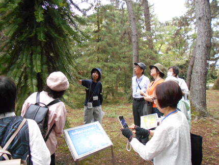 DSCN1620.JPG