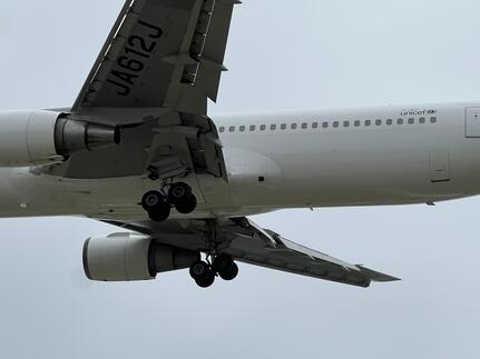 IMG_9930.JPG
